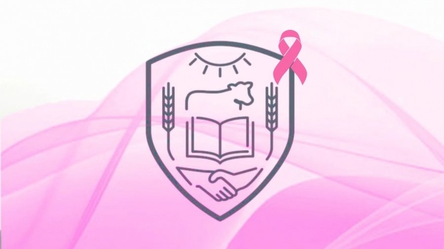 Concientizar Para Prevenir: Acciones Por Octubre Rosa