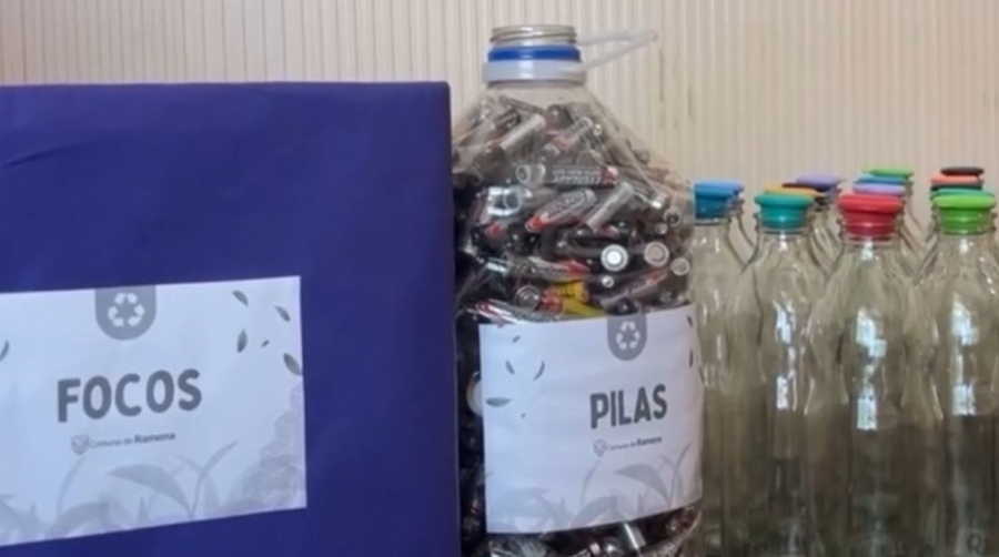 EcoCanjes De Pilas Y Focos