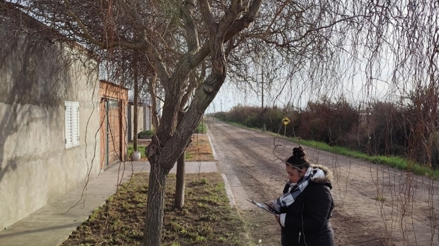 Censo Del Arbolado Urbano
