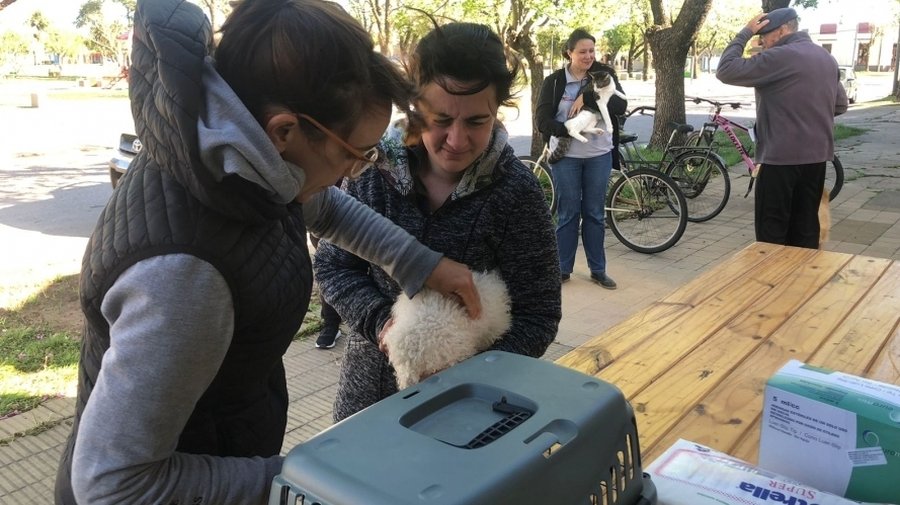Jornada De Vacunación Antirrábica