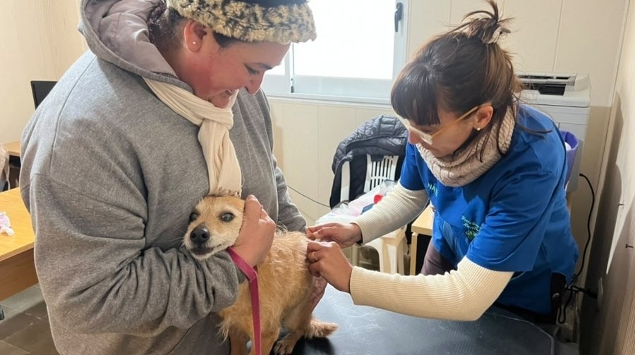 Relevamiento De La Población Animal