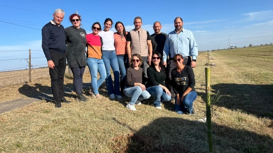 Plantación De Especies Arbóreas